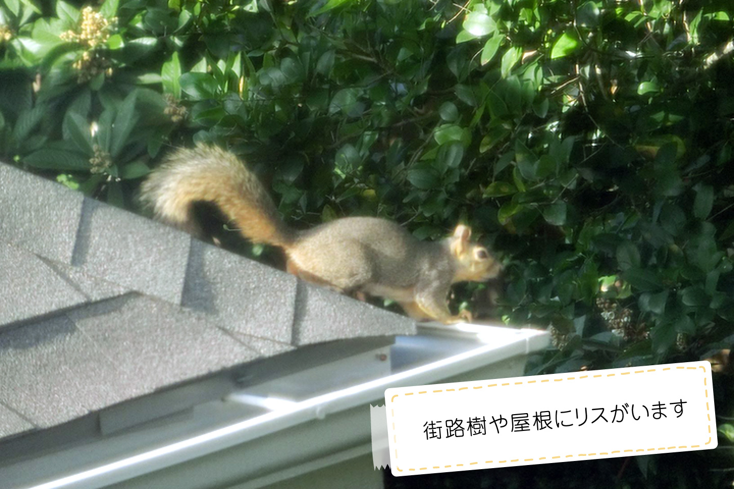 期間はどれくらいかかりましたか?