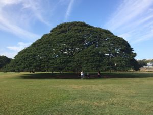 保育に関するサポートのご紹介